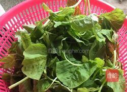蒜蓉旱菜的做法图解1