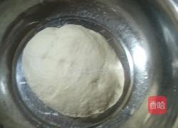 鲜肉煎饺的做法图解2