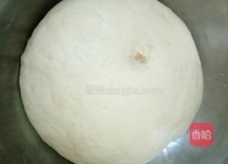 鲜肉煎饺的做法图解3