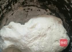 胡萝卜香菇猪肉馅饺子的做法图解6