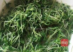 清炒萝卜苗的做法图解6