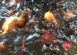 秘制卤牛肉的做法图解7