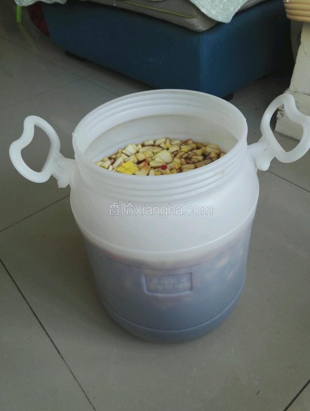 水果酵素