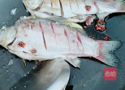 野生鲫鱼汤的做法图解3