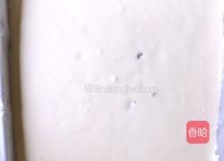 葡萄干蛋糕卷的做法图解16