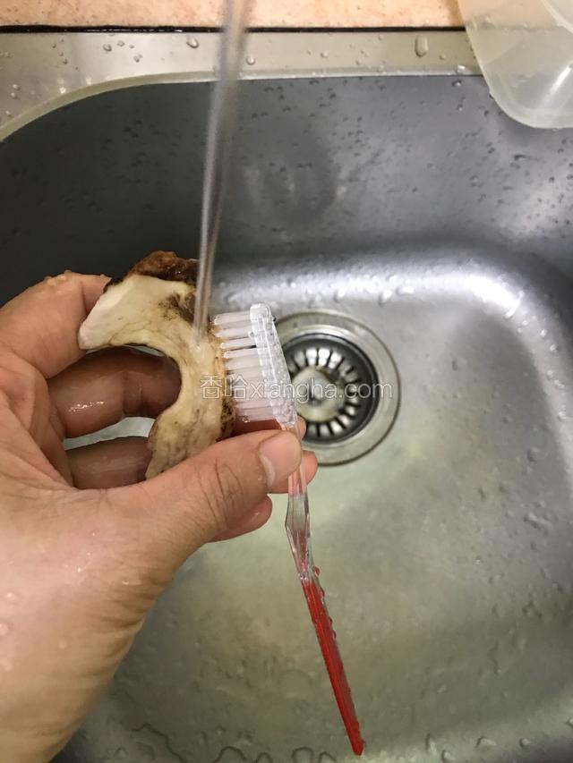 浸泡后的松茸水笼头放细流水用软毛牙刷刷干净（原来用泡的水不要倒掉一会煲烫用）。