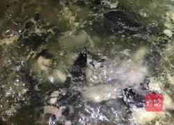 松茸炖乌鸡的做法图解4