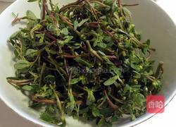 凉拌马齿苋的做法图解1