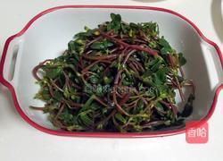 凉拌马齿苋的做法图解4