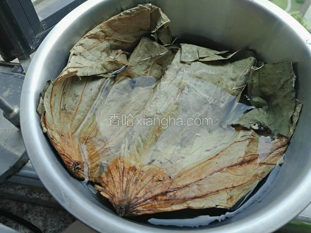 把荷叶提前用水泡开，充分吸水。