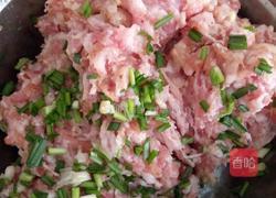 鲜肉煎饺的做法图解6