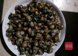炒螺的做法图解7