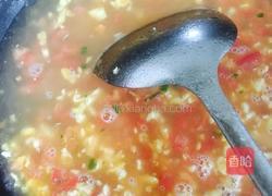 西红柿鸡蛋羹的做法图解12