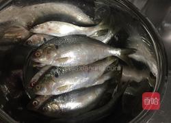 酥海鲫鱼的做法图解1