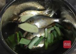 酥海鲫鱼的做法图解3