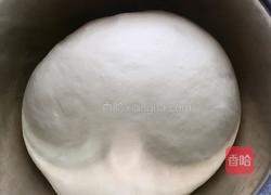 普通面粉版北海道吐司(包括10分钟剪出手套膜)的做法图解15