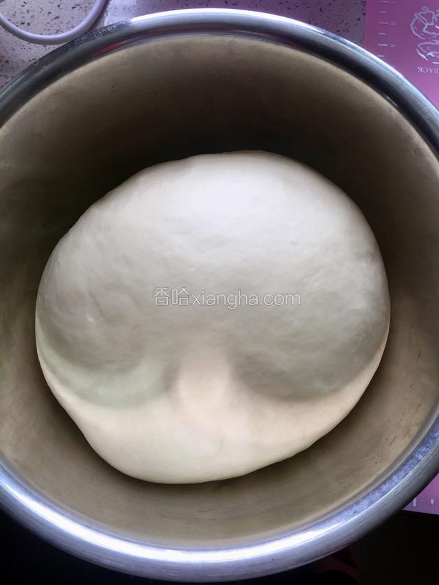 发酵至原体积的2倍大