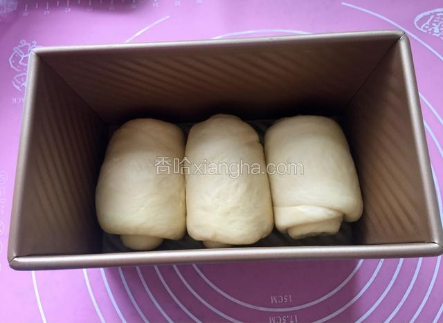全部卷好后放入吐司盒，盖上保鲜膜，放到温暖湿润处，进行最后的发酵