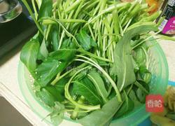 白灼空心菜的做法图解1