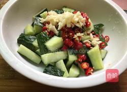 凉拌黄瓜的做法图解7