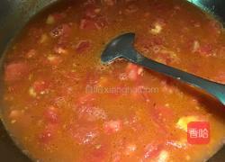 蕃茄鱼的做法图解9