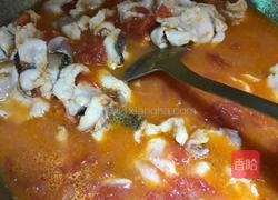 蕃茄鱼的做法图解11