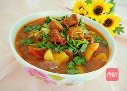蕃茄炖牛腩的做法图解19