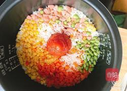 蕃茄焖饭的做法图解8