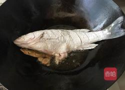 煎焖鲈鱼的做法图解4