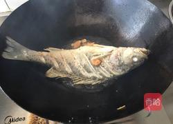 煎焖鲈鱼的做法图解5