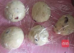 朗姆酒蔓越莓软欧的做法图解5