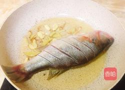红烧鲈鱼的做法图解1