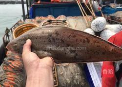 香煎野生龙力鱼的做法图解1