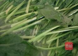 炝拌菠菜的做法图解2