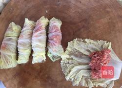 白菜两吃的做法图解6