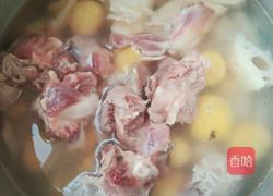 板栗莲藕排骨汤的做法图解3
