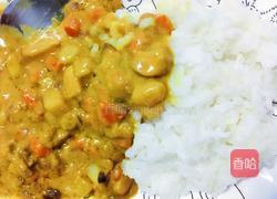 咖喱鸡肉的做法图解9