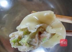 香菇猪肉白菜饺子的做法图解11