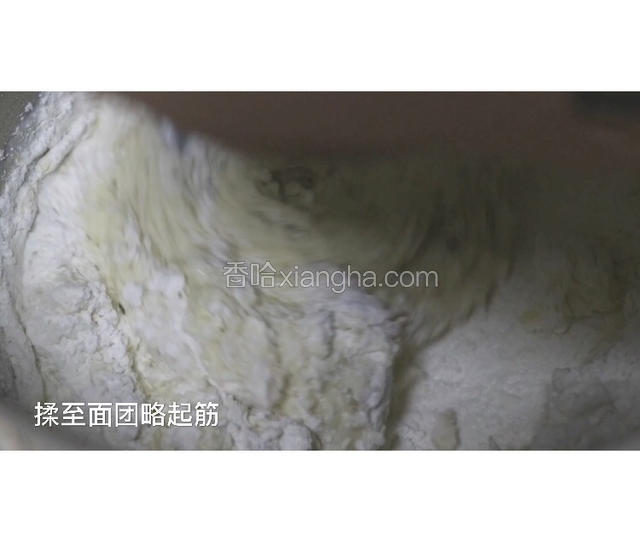 开始揉面直至面团略略起筋