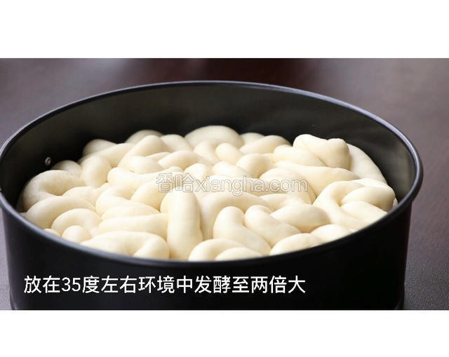发酵至两倍大