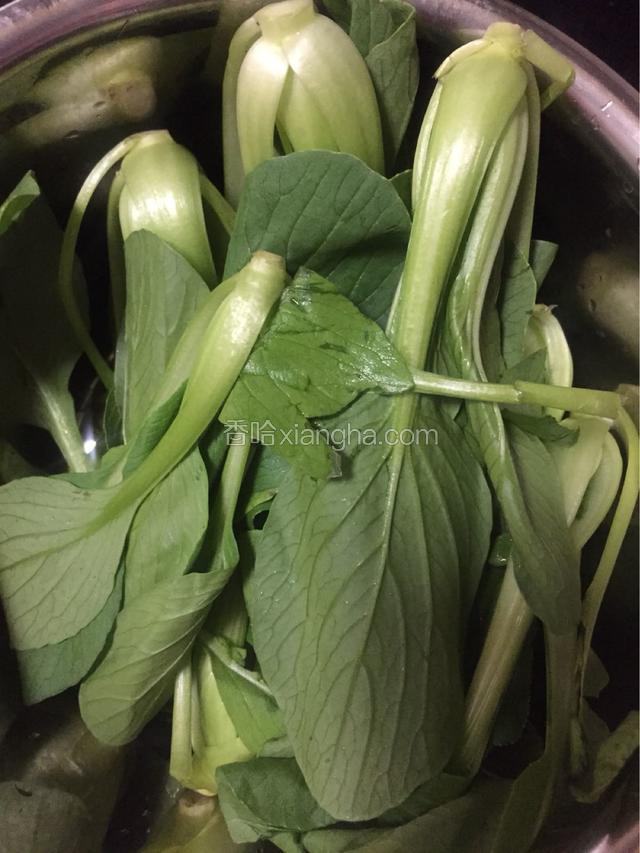 另外肉快好时把小青菜洗净，