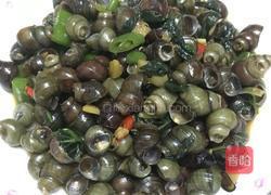 炒螺的做法图解7