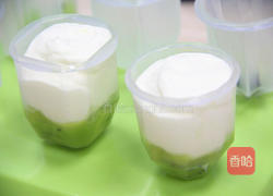 原味酸奶雪糕的做法图解6