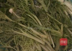 凉拌苦菊的做法图解8