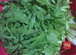 凉拌苦菊的做法图解9