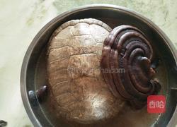灵芝土茯苓乌龟汤的做法图解9