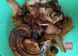 灵芝土茯苓乌龟汤的做法图解4