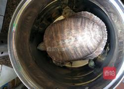 灵芝土茯苓乌龟汤的做法图解5