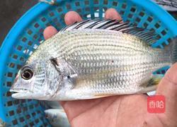 清蒸野生原味黄翅鱼的做法图解1