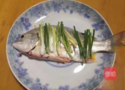 清蒸野生原味黄翅鱼的做法图解2